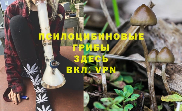 PSILOCYBIN Беломорск